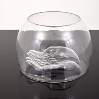 Do-Ho Suh Glass Sculpture, Norton Family Commission - Sold for $1,250 on 11-06-2021 (Lot 129).jpg